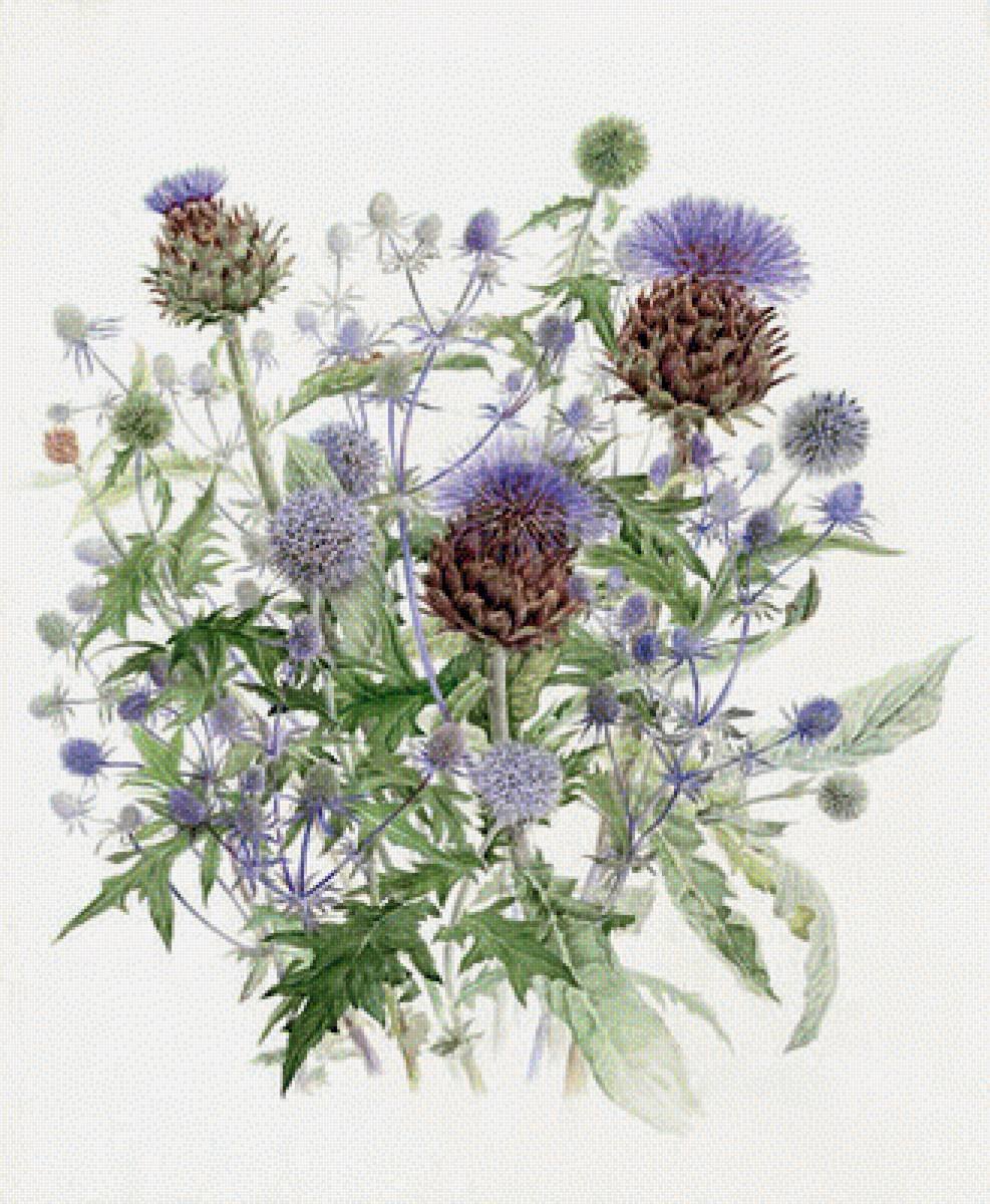 Репейник - репейник, лето, цветы - оригинал