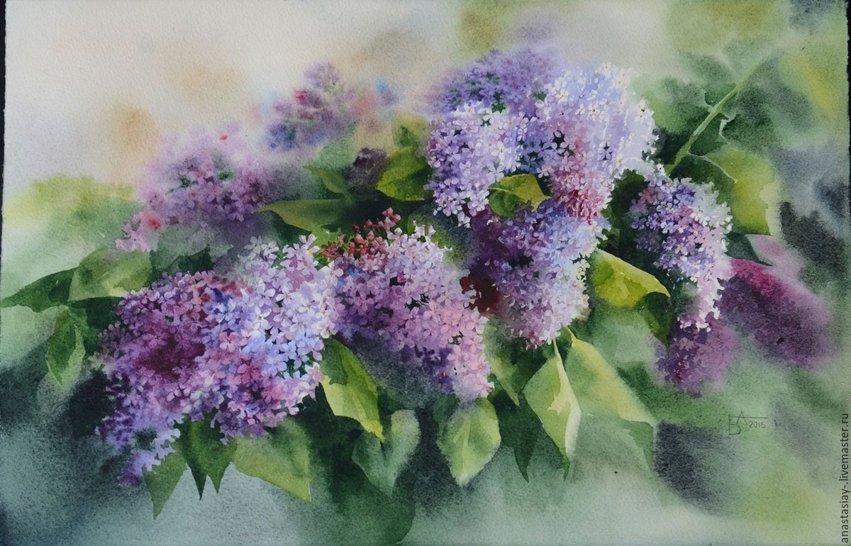 СИРЕНЬ - сирень - оригинал