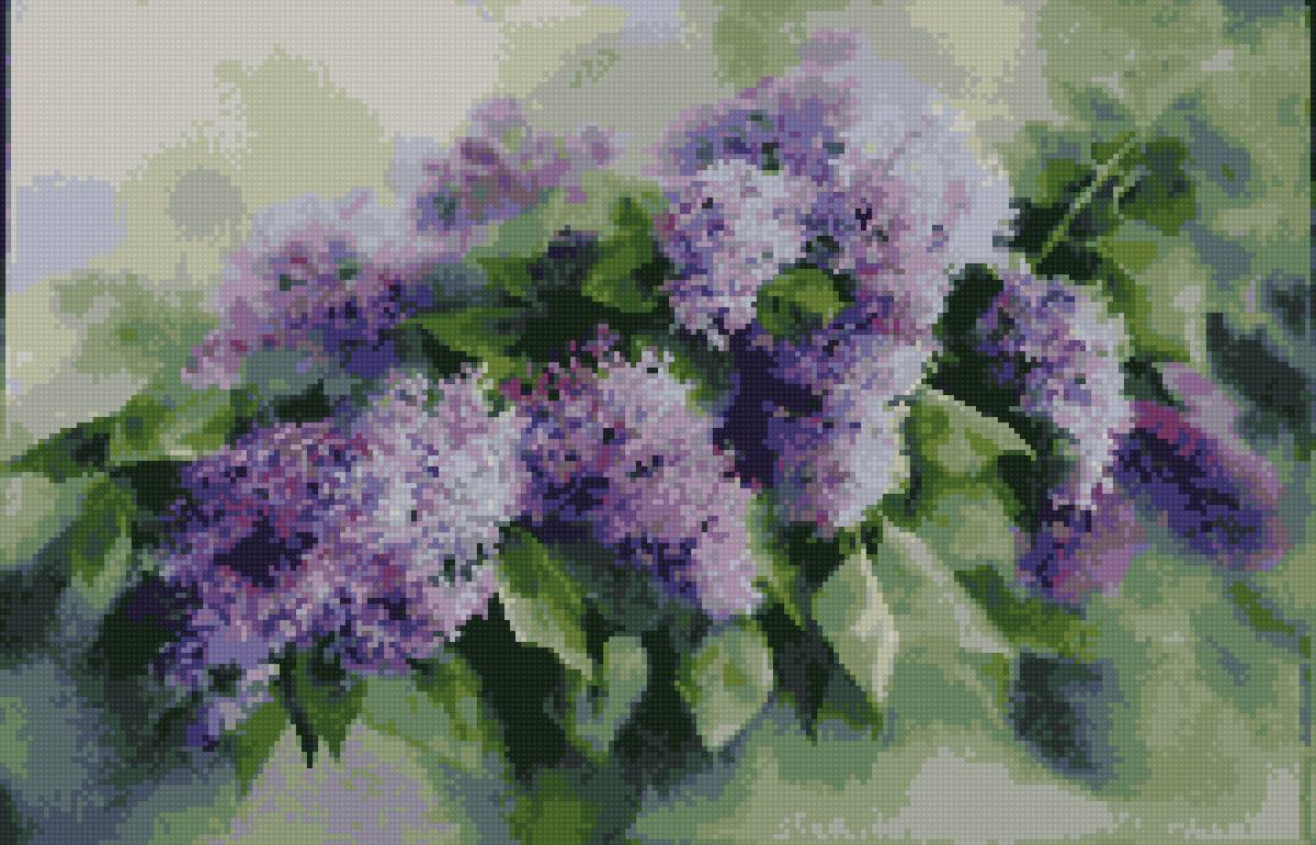 СИРЕНЬ - сирень - предпросмотр