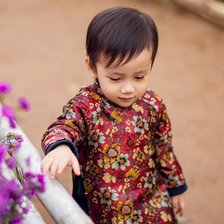 Схема вышивки «Chân dung»