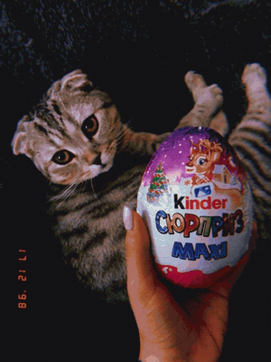 Кот - кот, животное - предпросмотр