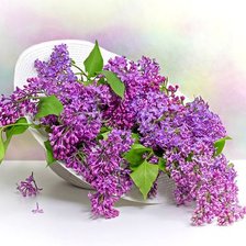 Оригинал схемы вышивки «№2498704»