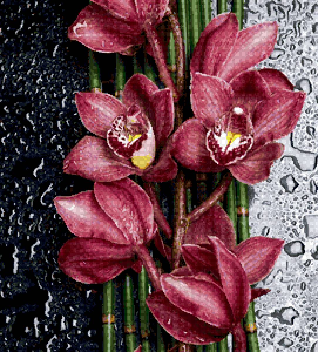 цветы - предпросмотр