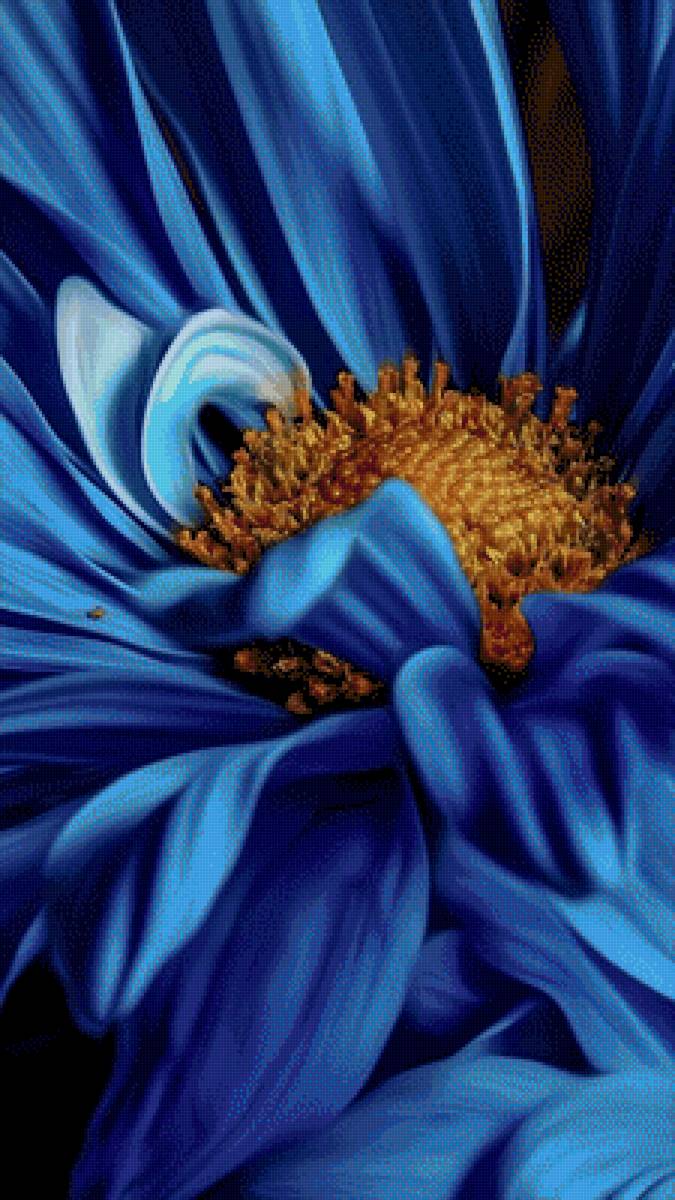 Синяя красотка - цветы, растения - предпросмотр