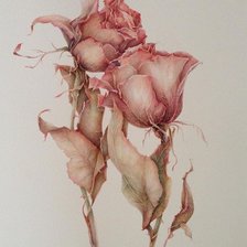 Схема вышивки «Пудровые розы»