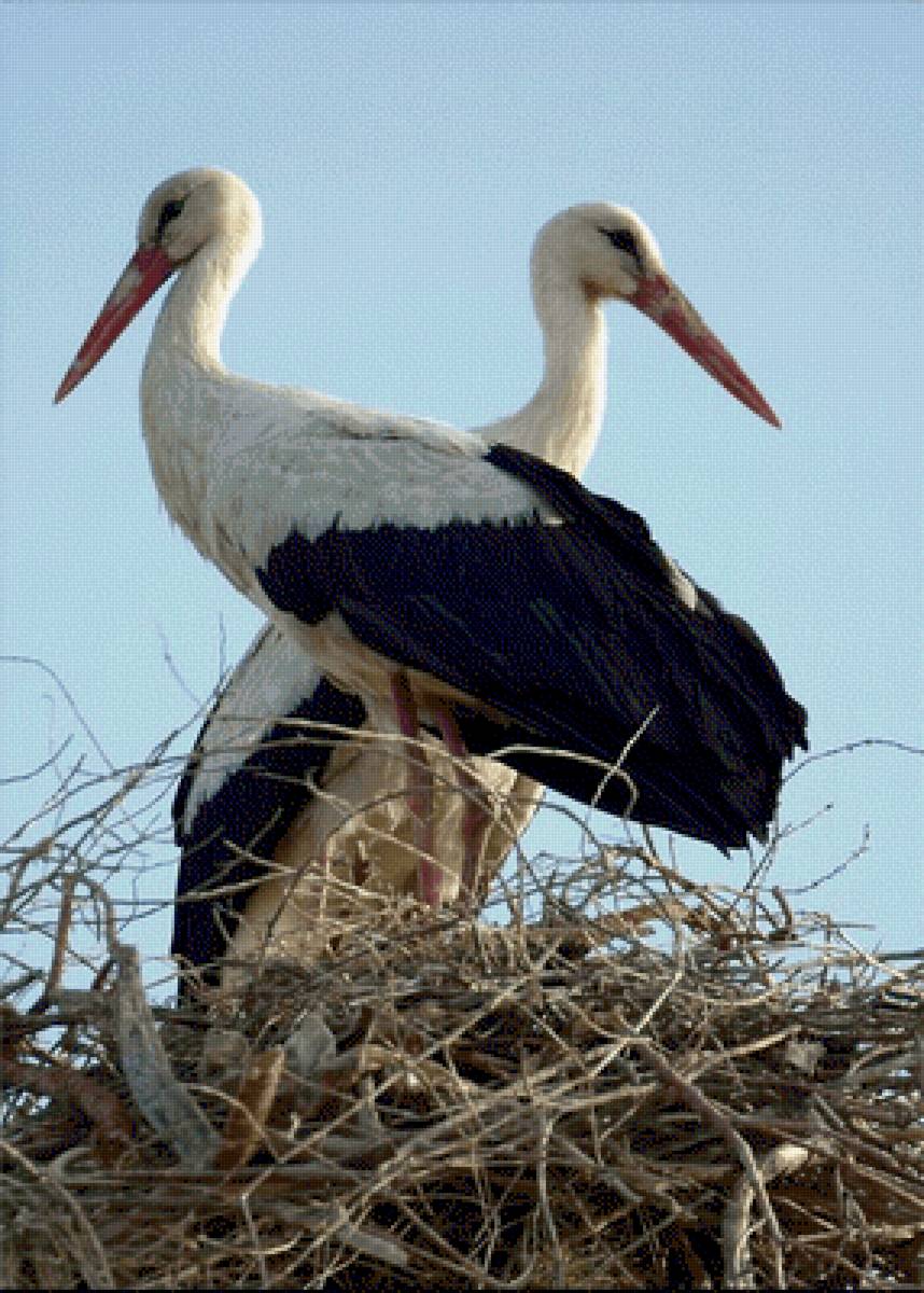 №2499659 - предпросмотр