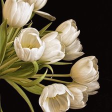 Схема вышивки «№2499671»