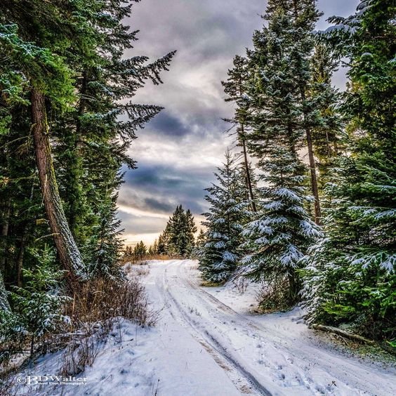 №2499773 - оригинал