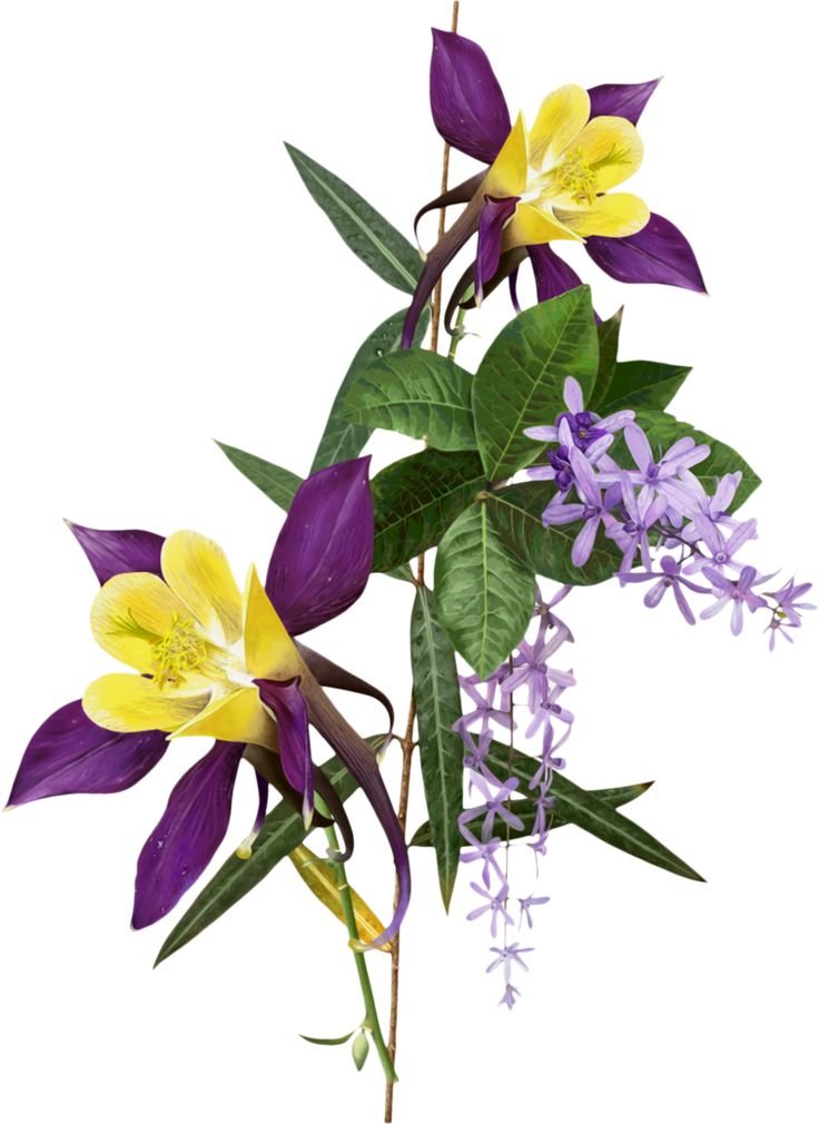 №2499886 - оригинал