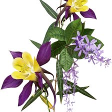 Схема вышивки «№2499886»