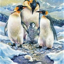 Схема вышивки «Пигвины»