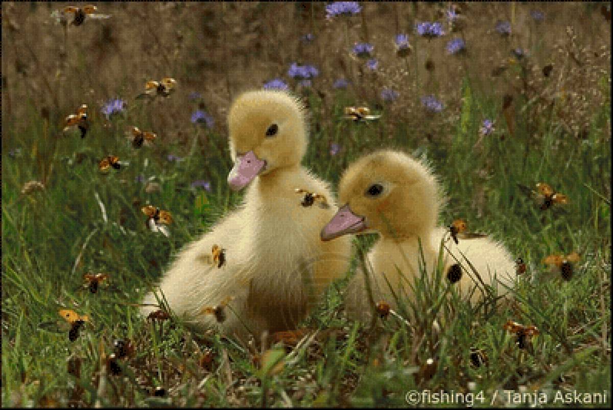 №2501465 - предпросмотр