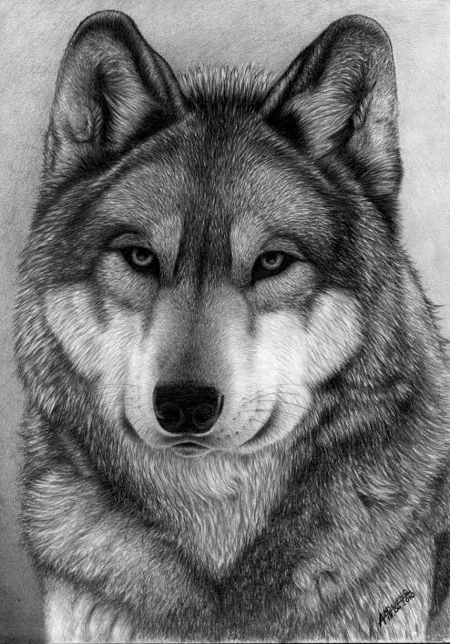 №2501781 - оригинал