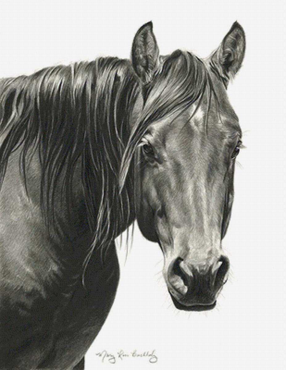 №2501790 - предпросмотр