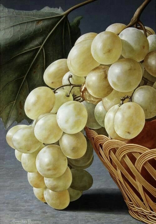 Гроздь винограда - фрукты, виноград, натюрморт - оригинал