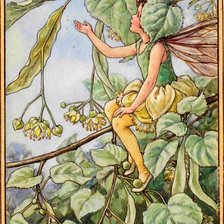 Фея липового дерева