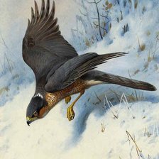 Схема вышивки «№2502387»