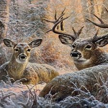 Схема вышивки «№2502393»