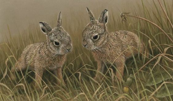 №2502397 - оригинал