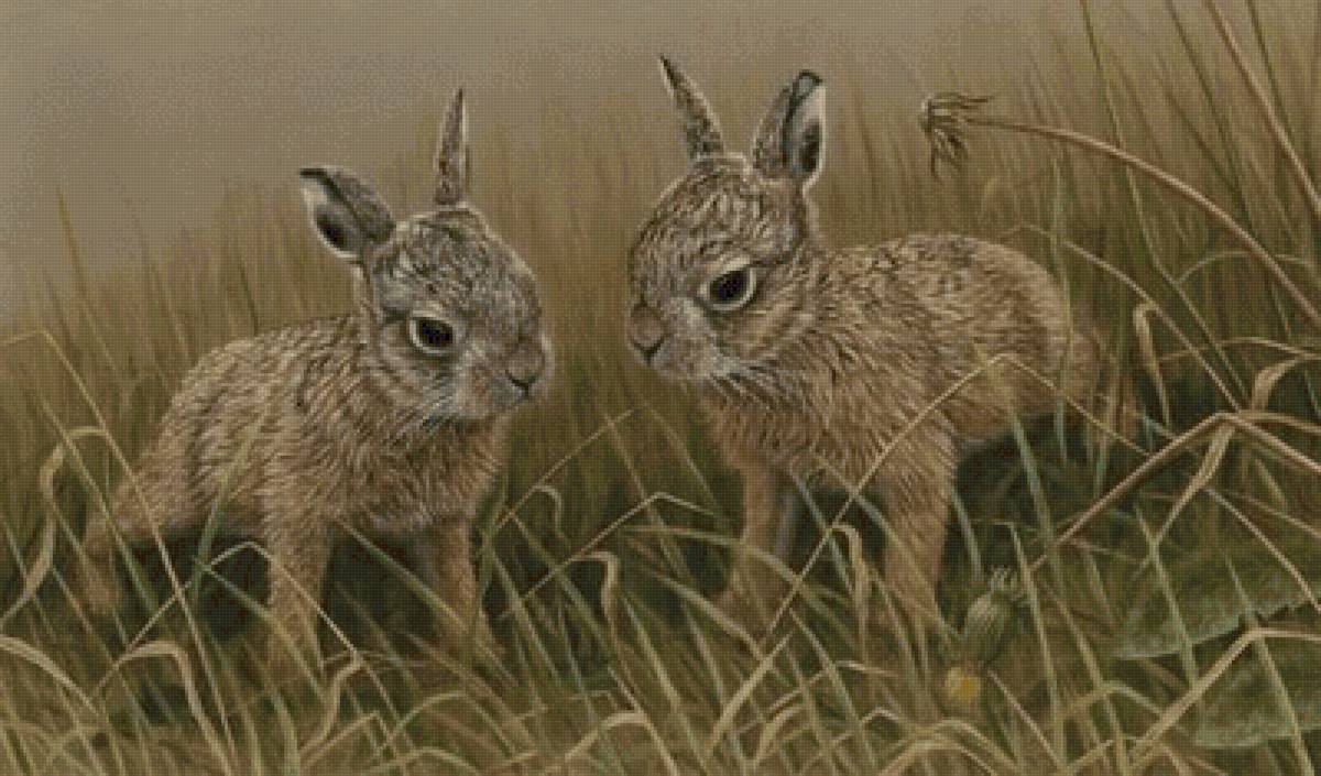 №2502397 - предпросмотр