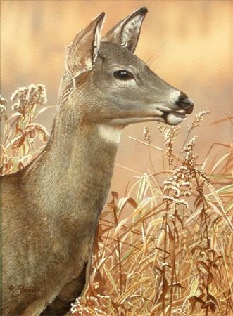 №2502537 - оригинал