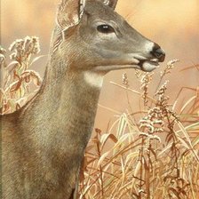 Схема вышивки «№2502537»