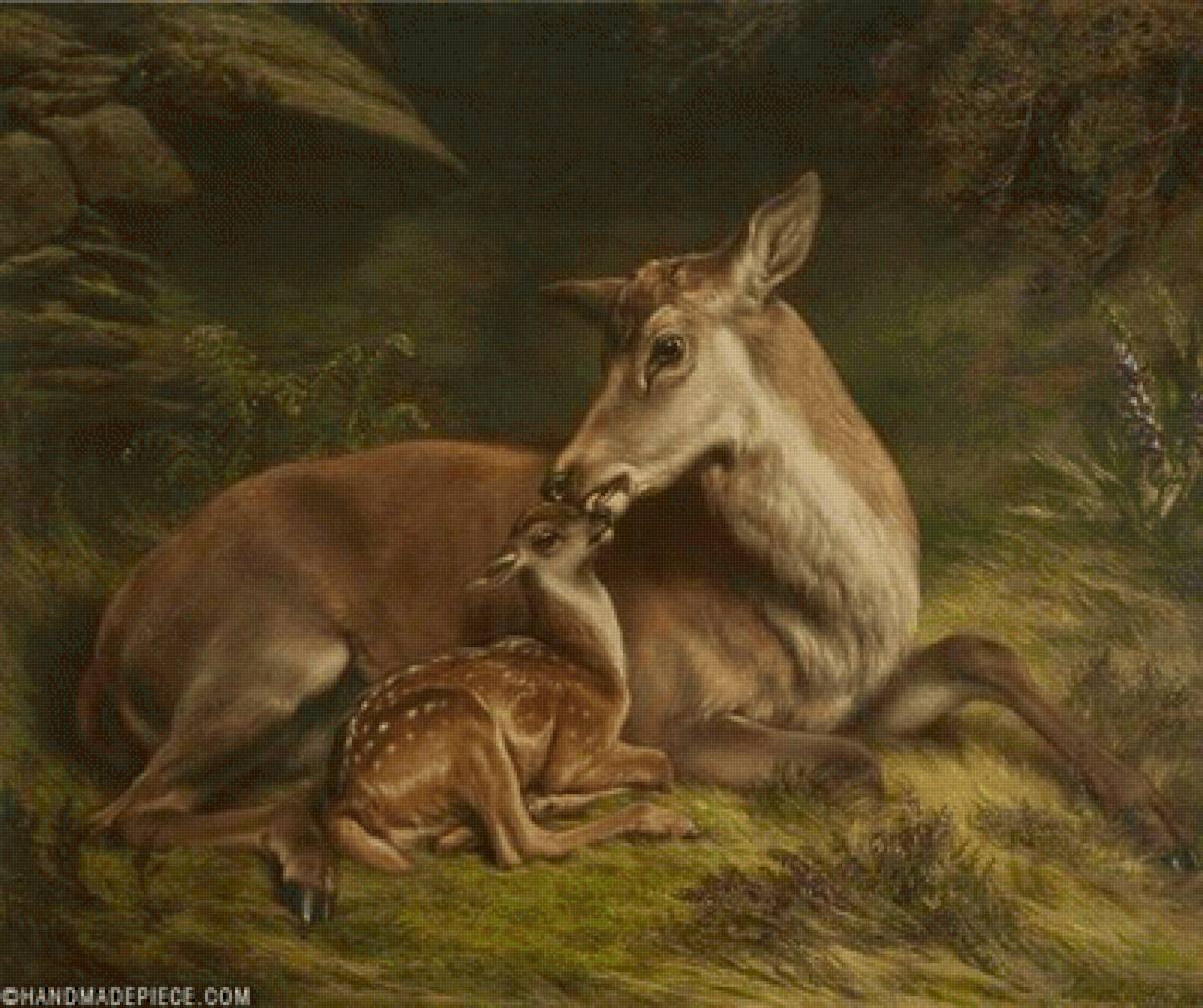 №2502551 - предпросмотр