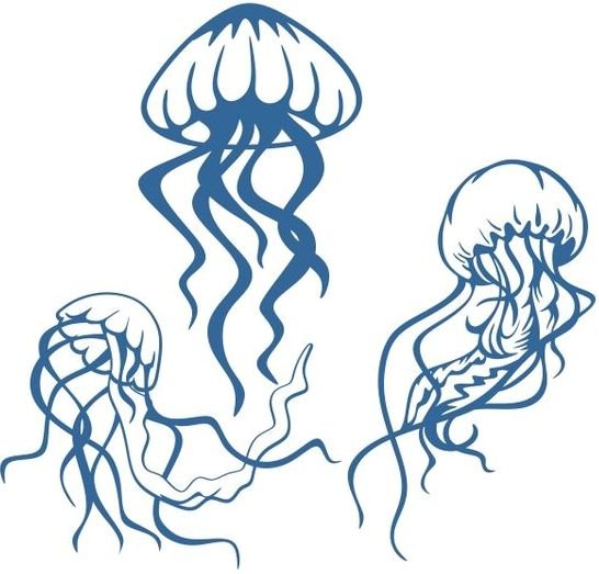 Медузы 2 - монохром - оригинал