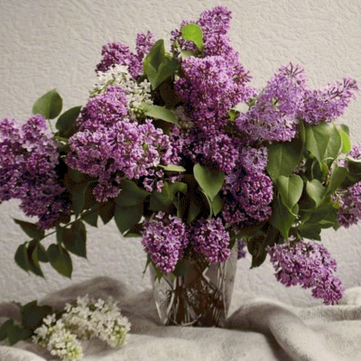 №2503085 - предпросмотр