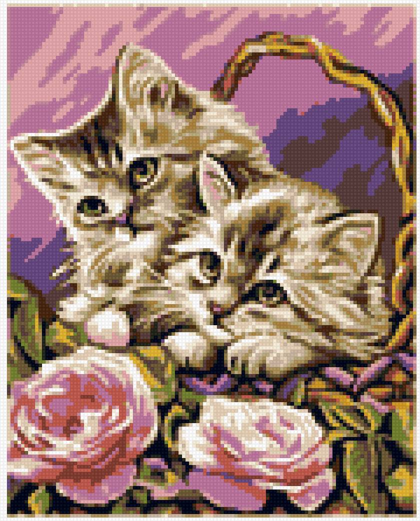 котики - предпросмотр