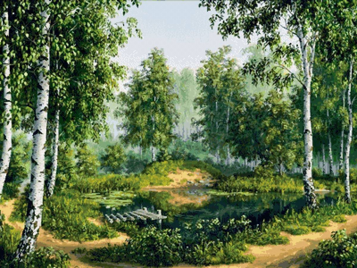 Березы - природа, березы - предпросмотр