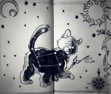 Малая медведица - медведь, малая - оригинал