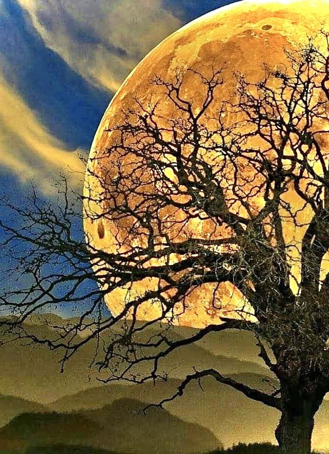 Сказки природы - луна, пейзаж, ночь - оригинал