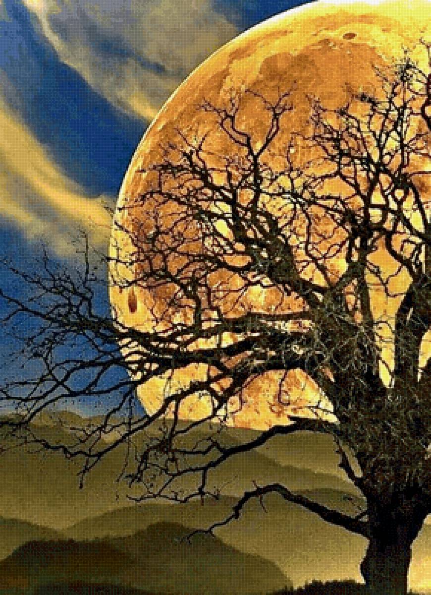 Сказки природы - ночь, пейзаж, луна - предпросмотр