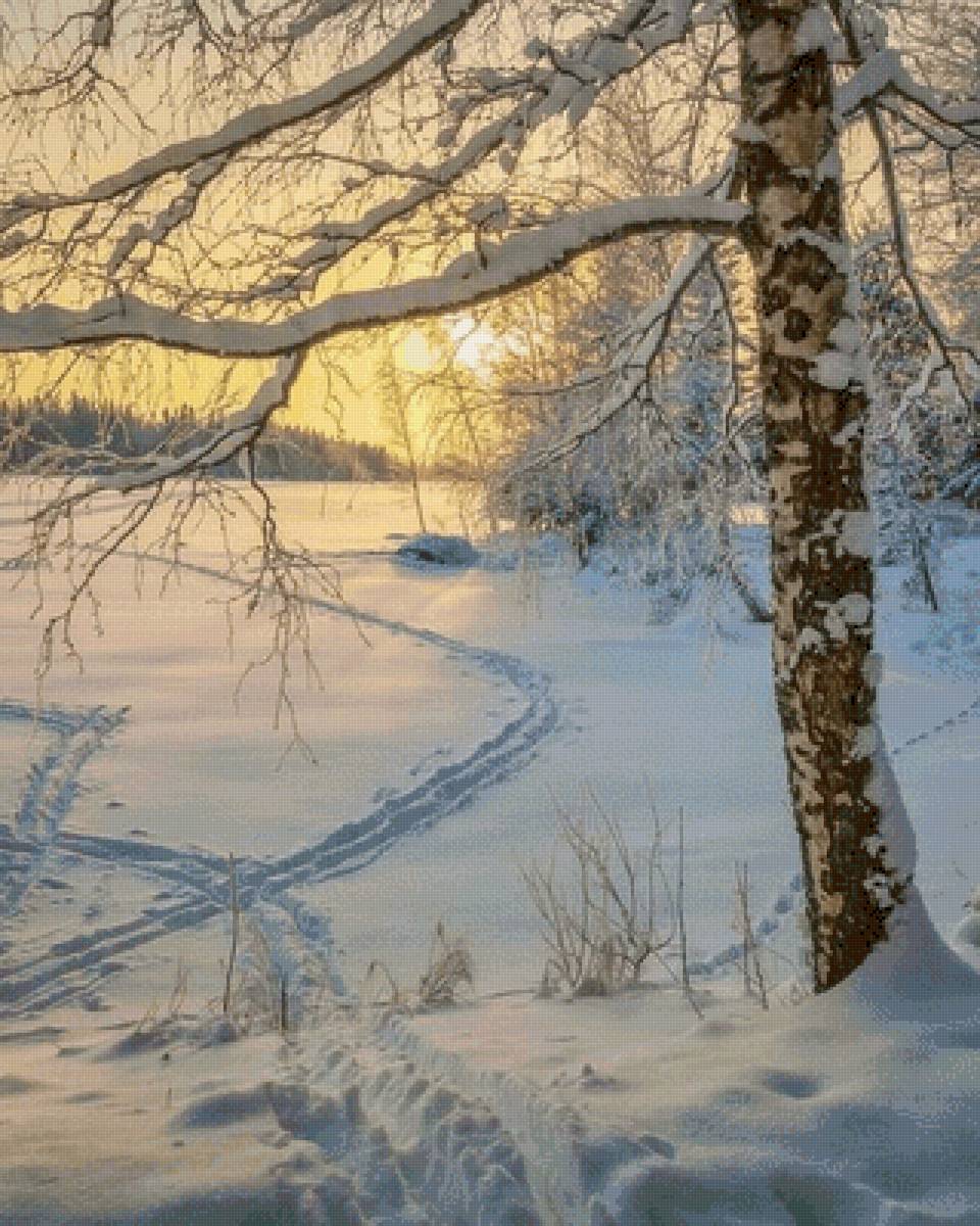 №2504183 - предпросмотр