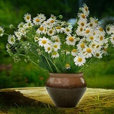 Схема вышивки «№2504285»