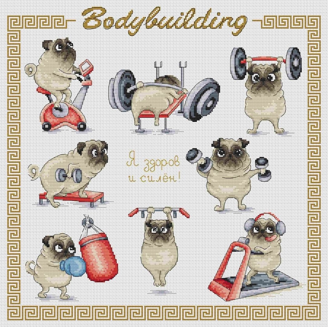 Бодибилдинг - бодибилдинг. - оригинал