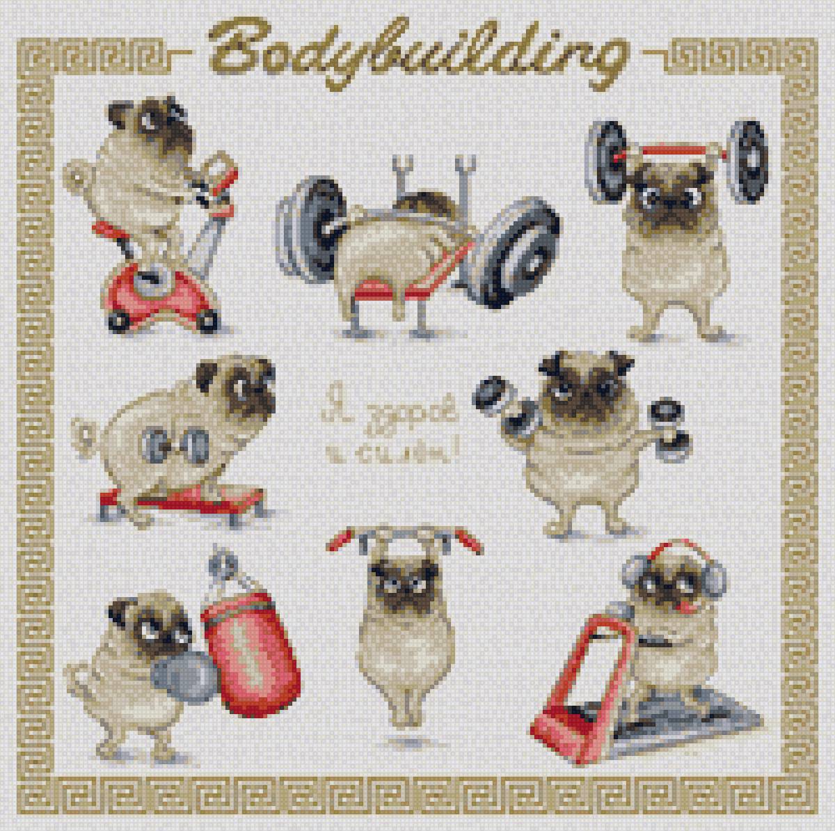 Бодибилдинг - бодибилдинг. - предпросмотр