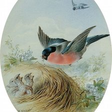 Схема вышивки «№2504375»