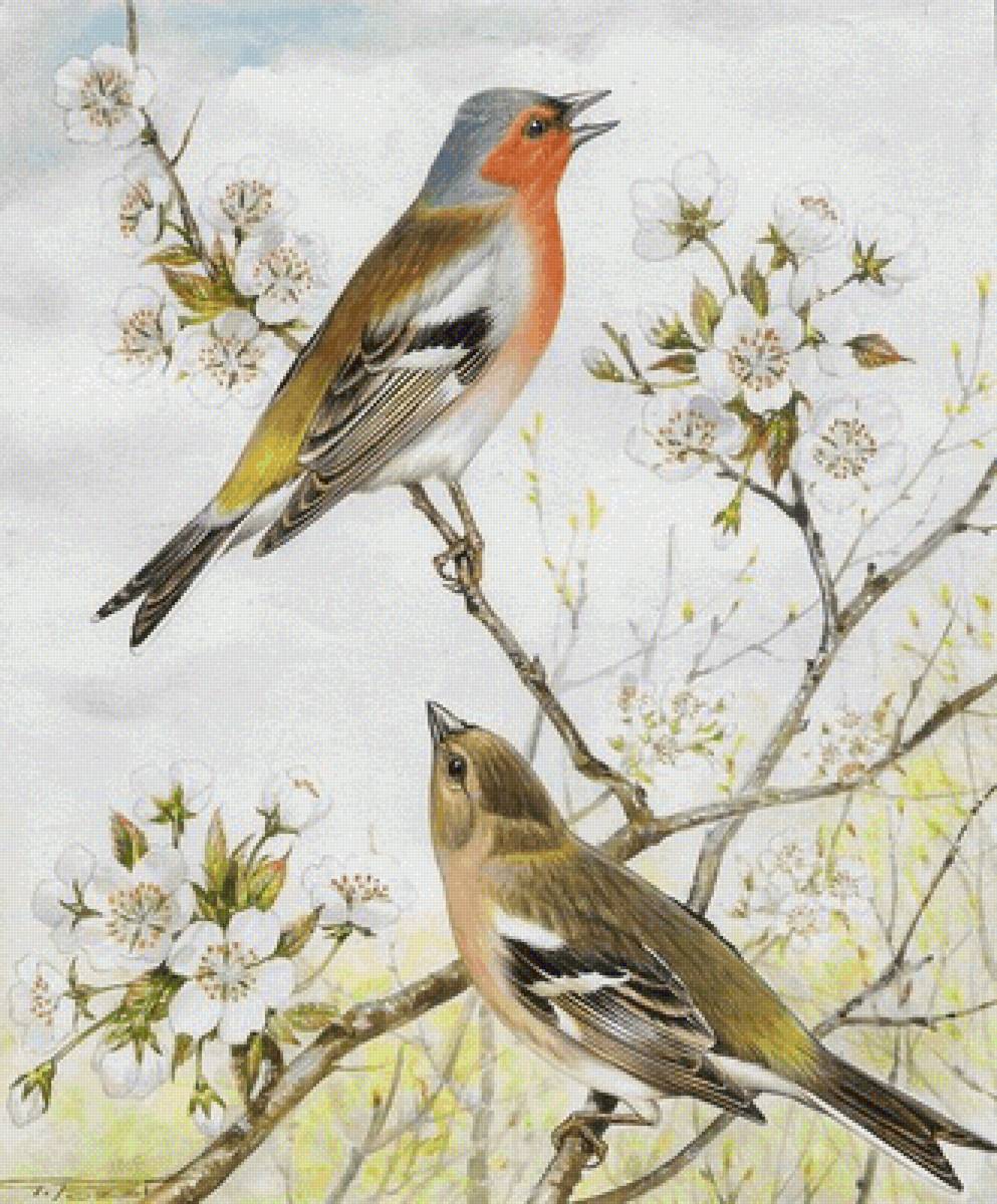 №2504380 - предпросмотр