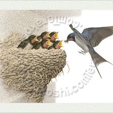 Схема вышивки «№2504423»