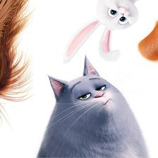 Схема вышивки «Тайная жизнь домашних животных»