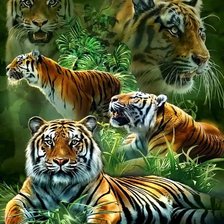 Оригинал схемы вышивки «Тигры» (№2504510)