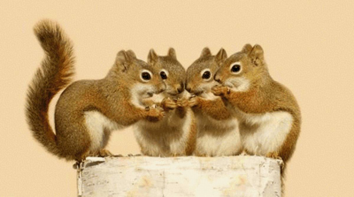 №2504601 - предпросмотр