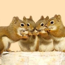 Схема вышивки «№2504601»