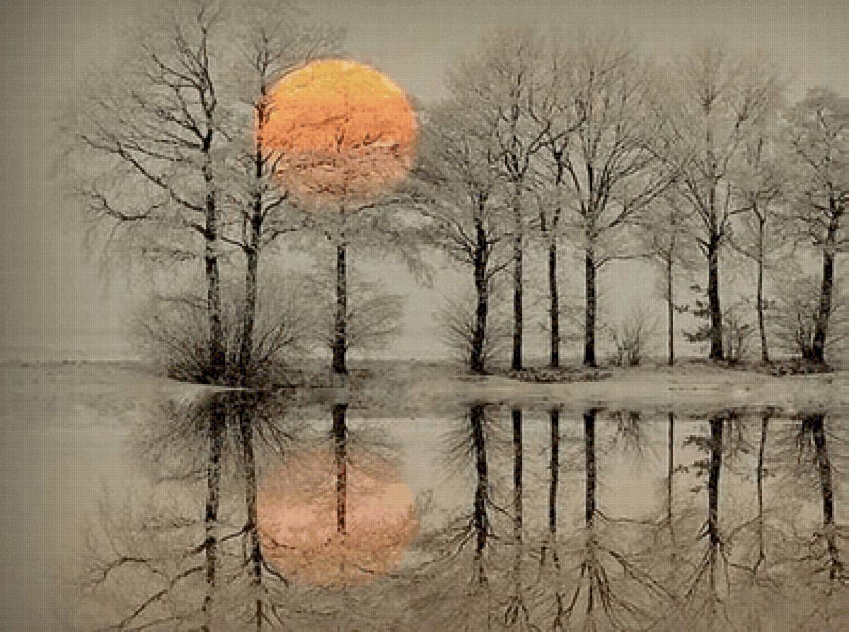 №2504979 - предпросмотр