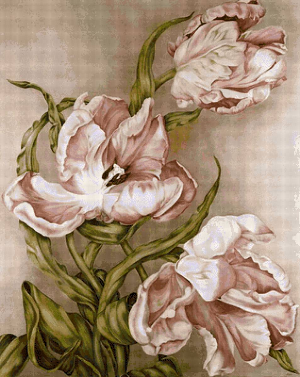 тюльпаны. - бежевый, нежный, цветы, тюльпаны - предпросмотр