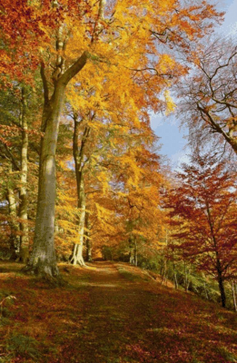 №2505542 - предпросмотр