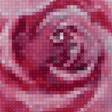Предпросмотр схемы вышивки «Букет роз» (№2505704)
