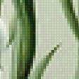 Предпросмотр схемы вышивки «Лилии» (№2505713)